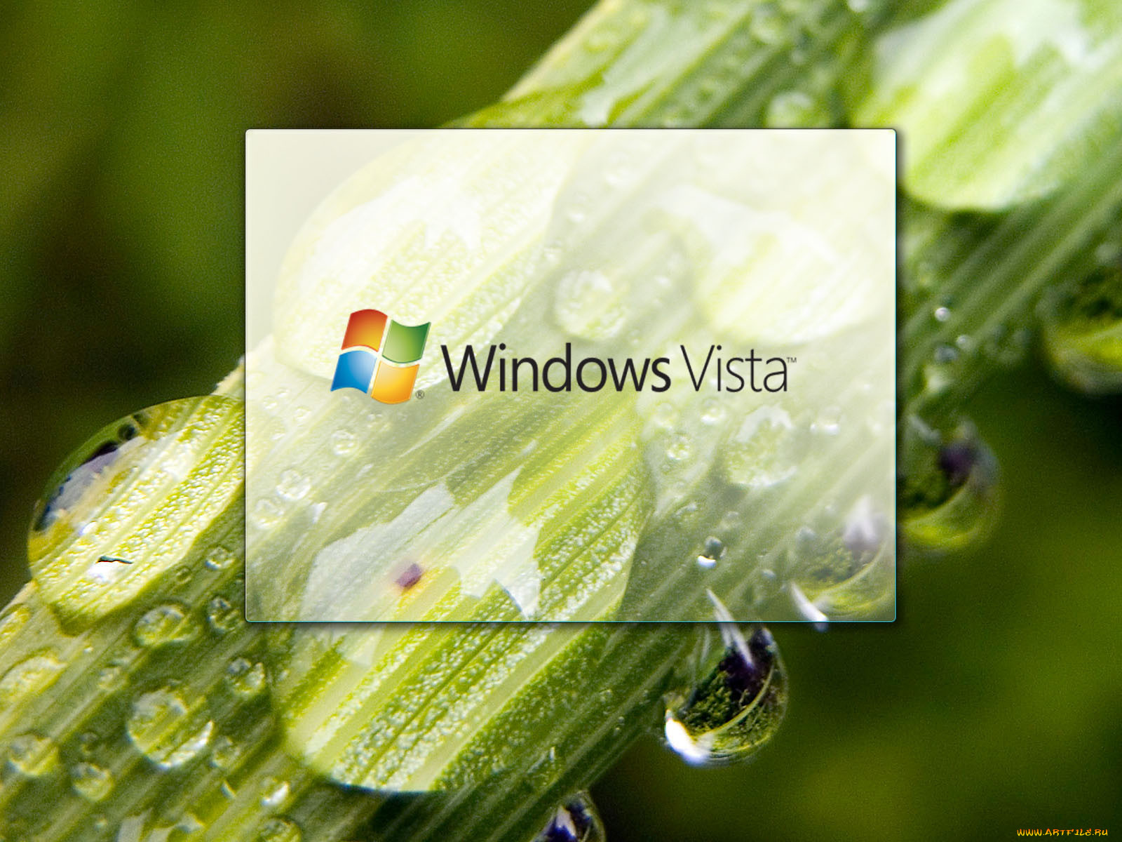 , windows, vista, longhorn